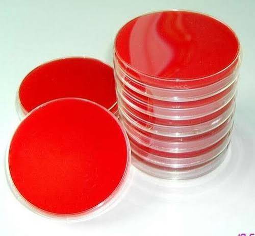 محیط کشت آماده بلاد آگار *Blood agar*