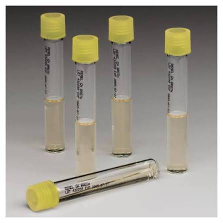 محیط کشت GN Broth | Gram-Negative Broth (Hajna)
